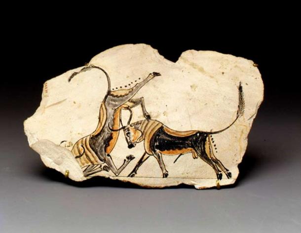 This finely painted limestone ostracon shows two fighting bulls. Obviously, the creation of a skilled artist, the image conveys the sense of motion in a true-to-life manner. Upper Egypt.