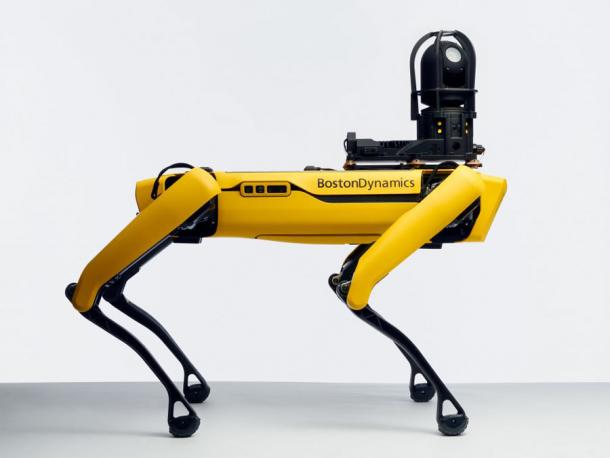 This is Spot, the robotic guard dog that Boston Dynamics created for site inspections, including archaeological sites like Pompeii. (Boston Dynamics)