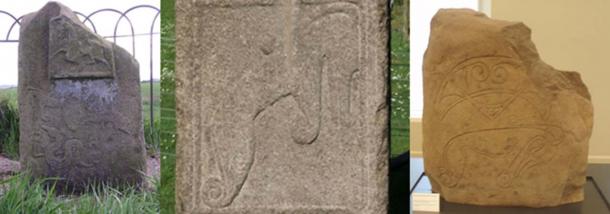 Three carvings of the Pictish dragon