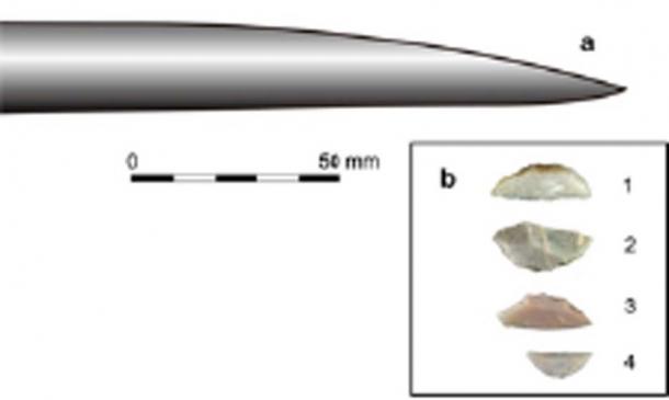 Tip of a Schöningen spear (a) and representative Uluzzian backed pieces, used by modern humans, from Grotta del Cavallo (b). (Nature Ecology & Evolution)