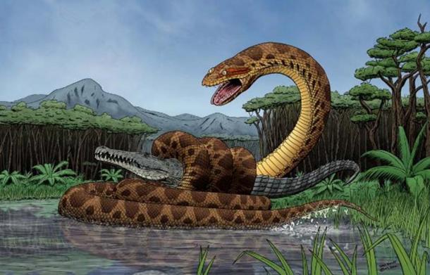 titanoboa the monster snake