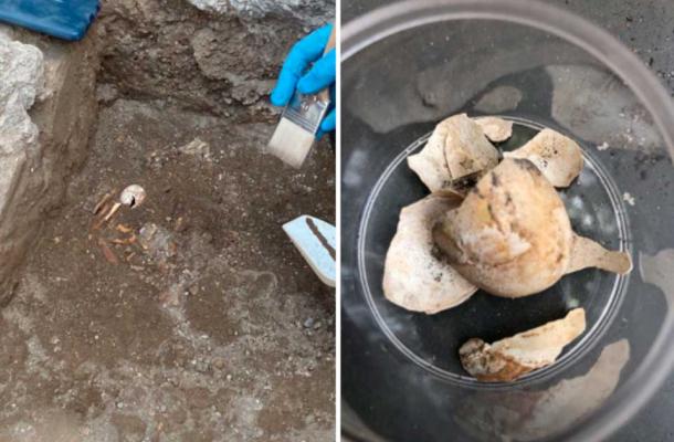 Huevo de tortuga in situ en el sitio y totalmente excavado. (Parque Arqueológico de Pompeya)