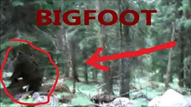 “Toward a Resolution of the Bigfoot Phenomenon,” usually just called the NASI Report, used detailed, forensic, computer analysis to examine the Patterson-Gimlin film great detail. (The Bigfoot Habitat)