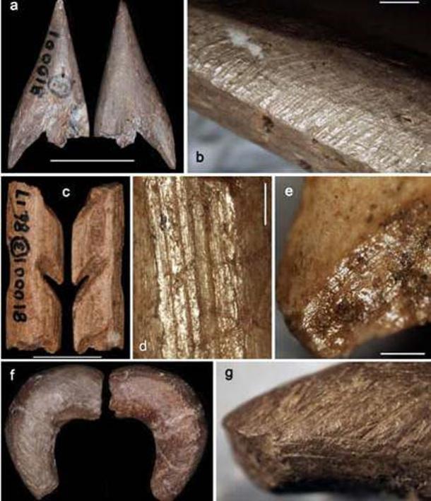 Traces of manufacture on some of the Ma’anshan bone artifacts.