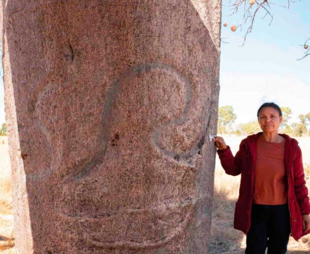 La propietaria tradicional Brenda Garstone en el más pequeño de los boabs tallados registrados en el desierto de Tanami, en el norte de Australia. (S. O'Connor / Antiquity Publications Ltd)