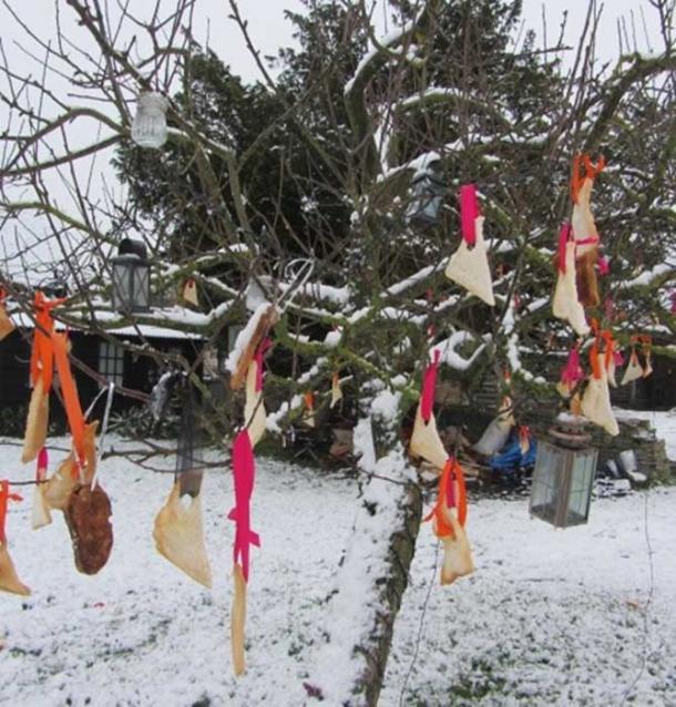 Tree decorated with bread and ribbon (Via author)