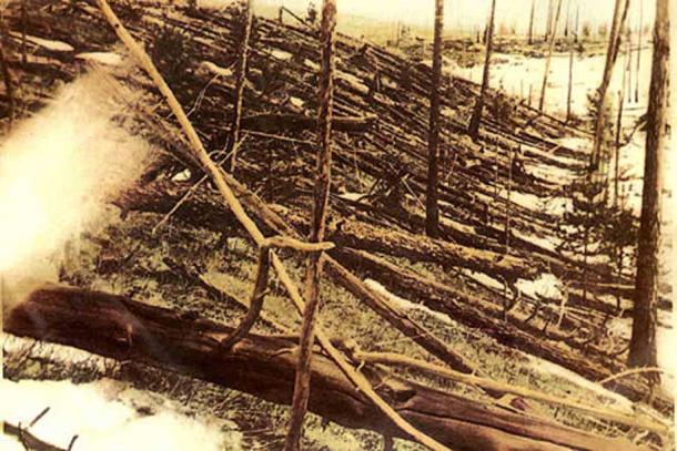 Trees knocked over by the Tunguska blast. 