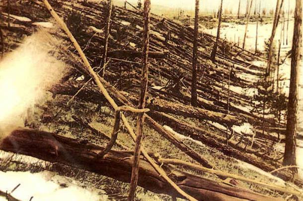 Tunguska meteoroid impact, a fraction of the Younger Dryas event. Trees were knocked down and burned over hundreds of square kilometres