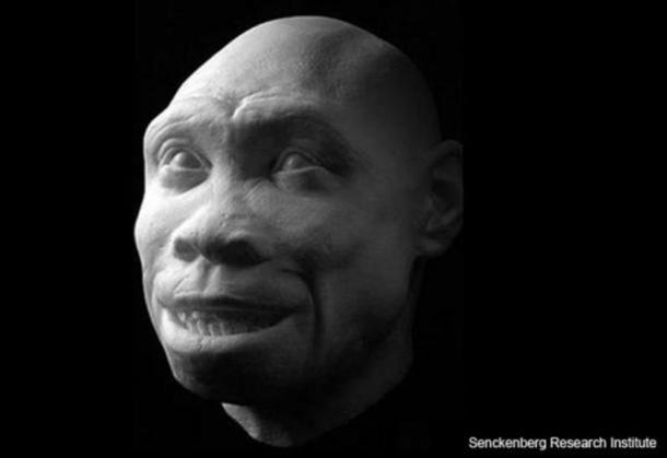 “Turkana Boy” (Homo ergaster) was discovered in the fossil-rich Turkana Basin. 