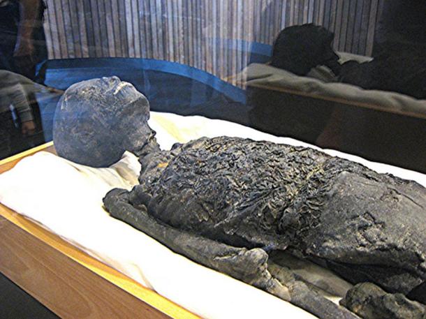 Tutankhamun Mummy Replica, Upper Body and Head.