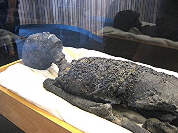 Réplica de la momia de Tutankamón, parte superior del cuerpo y cabeza.