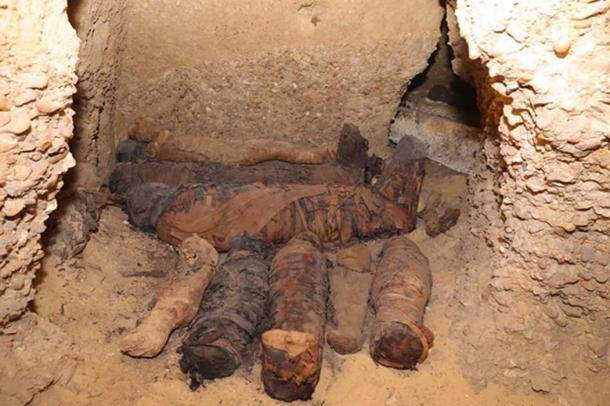 Twelve of the mummies were of children and infants
