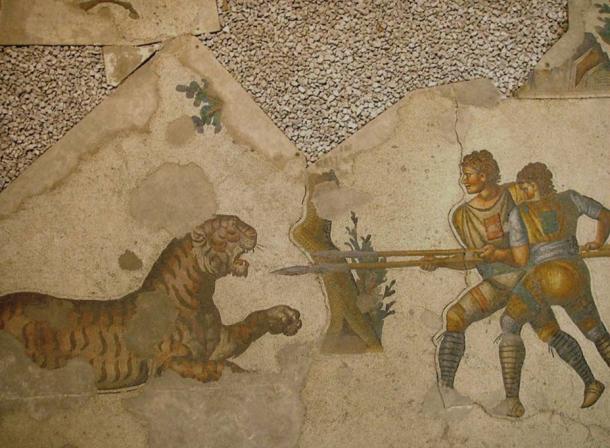 Two Venatores (those who made a career out of fighting in arena animal hunts) fighting a tiger. Floor mosaic in Great Palace of Constantinople (Istanbul), 5th century. 