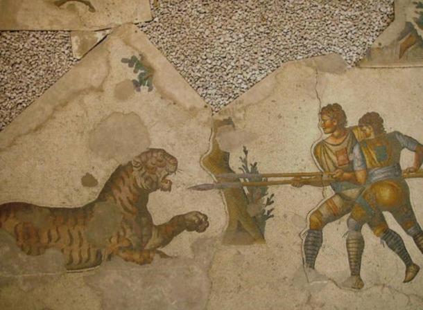 Two Venatores (those who made a career out of fighting in arena animal hunts) fighting a tiger. Floor mosaic in Great Palace of Constantinople (Istanbul), 5th century.