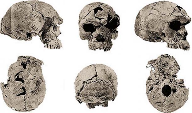 Two adults and a child dating from 160,000 years ago, th oldest known fossils of modern humans discovered in Herto, Ethiopia. (Image: Bradshaw Foundation)