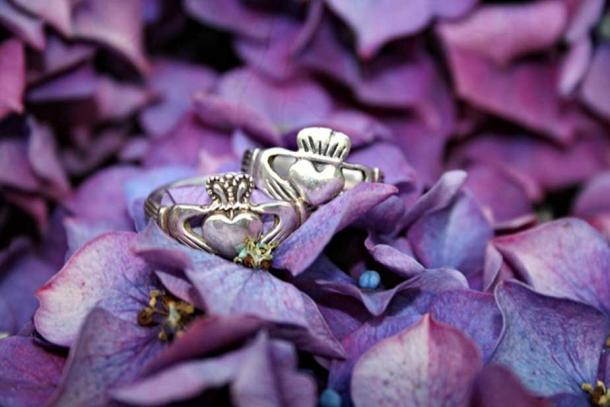 Two silver Claddagh Rings on flowers. 