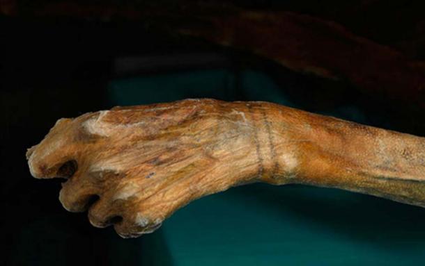 Two tattooed bands can be seen around Ötzi's wrist.