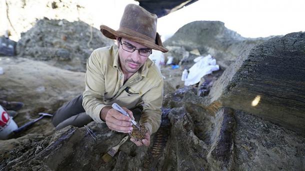 University of Manchester paleontologist Robert DePalma working at the Hell Creek site, where the Yucatan asteroid impact cleanly severed the dinosaur’s leg. (BBC)