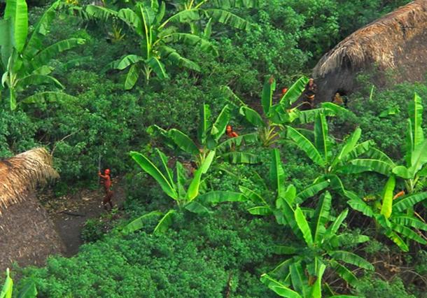 Uncontacted indigenous tribe in the Brazil defending their territory. (Arthur to / CC BY-SA 2.0)