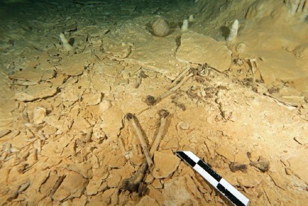Underwater cenote cave where the remains were found. (Eugenio Acevez / Heidelberg University)