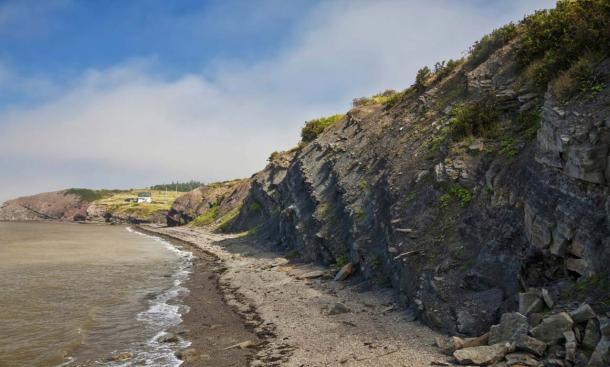 Joggins Fossil Cliffs (Fotolia)