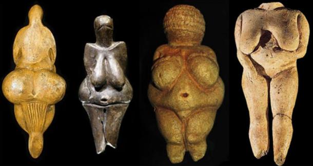 A collection of Venus figures found across Europe