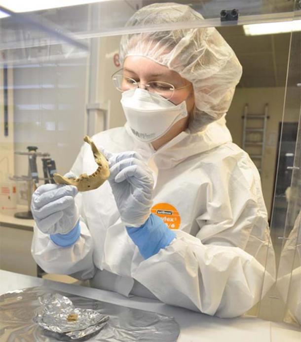 Verena Schuenemann at the Palaeogenetics Laboratory, University of Tuebingen.