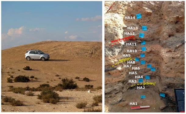 (Left) View of trash mound M1 of Elusa (Photo by G.B.-O.); (Right) 1.3-m-deep east section in Trench A, mound M1, with its sequence of alternating layers of dark and light color sediment. (Image: Guy Bar-Oz et al / PNAS)