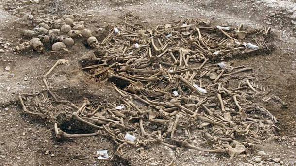 Viking age mass grave from Ridgeway Hill, Weymouth. (Oxford Archaeology)