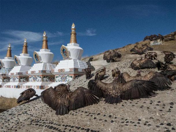 Vultures waiting at a sky burial ceremony site in Yarchen Gar village, Sichuan province, China. (think4photop /Adobe Stock)