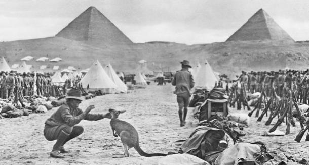 Australia’s WWI 10th Battalion fought in the Flanders Celtic Wood area of Belgium, where the mystery occurred in 1917, but they were also active in Egypt. (Public domain)