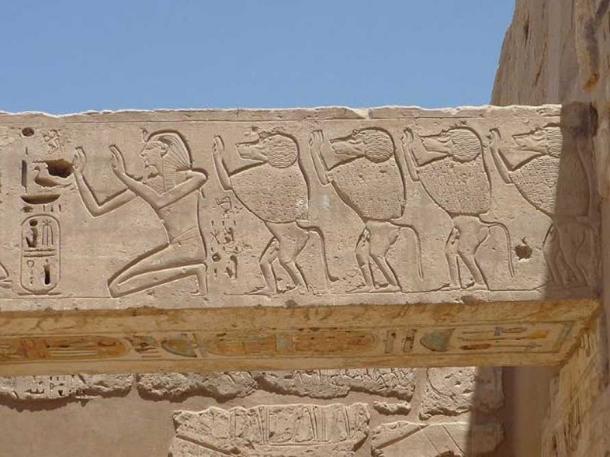 Wall relief of Ramses III and baboons, mortuary temple of Ramses III, Medinet Habu, Theban Necropolis, Egypt.
