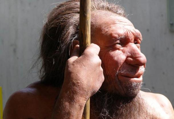 Wax model of a Neanderthal. 