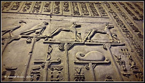 Wepwawet figures stand proud atop royal standards along with other deities in this relief at the Kom Ombo Temple. From the First Dynasty onwards, an image of a rearing cobra (‘uraeus’) was placed in front of the animal.