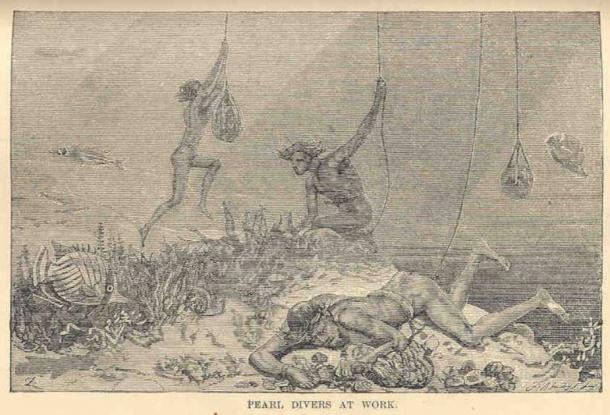 J. Wesley Van der Voort, Pearl Divers at Work, 1883. (University of Washington/Public Domain)