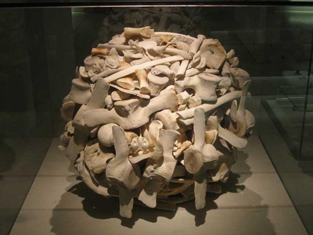 Whale bones. (CC BY-NC-ND 2.0)