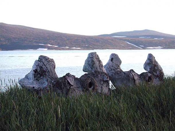 Whale bones dot the island, apparently in an elaborate pattern (National Ocean Service / Public Domain)