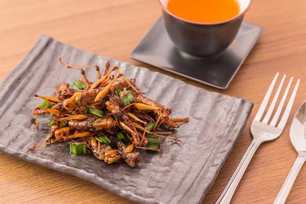 When it comes to eating insects, the fried version seems to be overwhelmingly the most popular cooking style. (CK Bangkok Photo. / Adobe Stock)