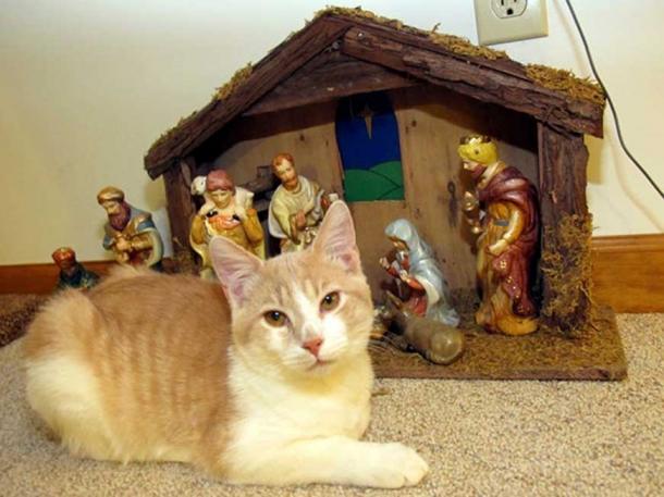 Las bestias salvajes se inclinaron y lo adoraron. (Imagen: usuario de Flickr Frankieleo)