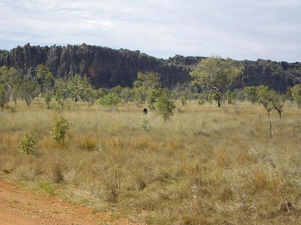 The fragment was dug up in the 1990s in Windjana Gorge National Park, Western Australia.