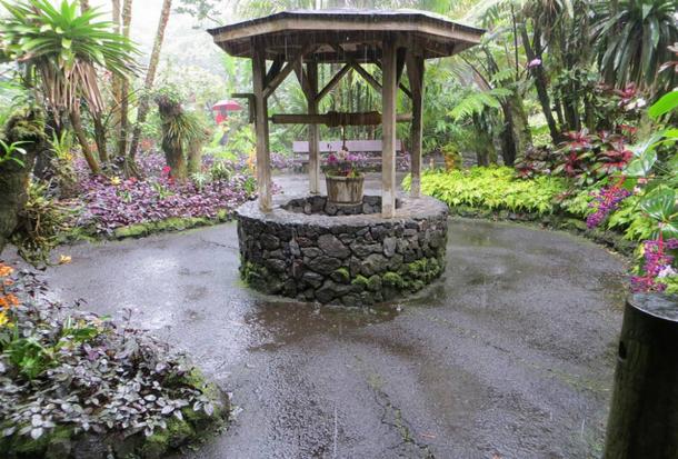 Wishing-well-Hawaii.jpg?itok=UHwY8PZY