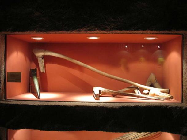 Wooden shafts of pickaxes and other tools for salt mining from the Hallstatt culture. Museum Hallstatt, Austria. (CC BY 2.5)