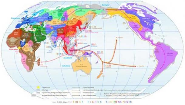 World Map of Y-Chromosome Haplogroups - Dominant Haplogroups in Pre-Colonial Populations with Possible Migrations Routes. ( CC BY SA 3.0 )