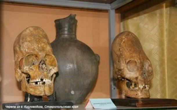 Top: Yakovenkovo infant (archaeology & arts). Bottom: Kislovodsk skulls. (soul-guidance.com)