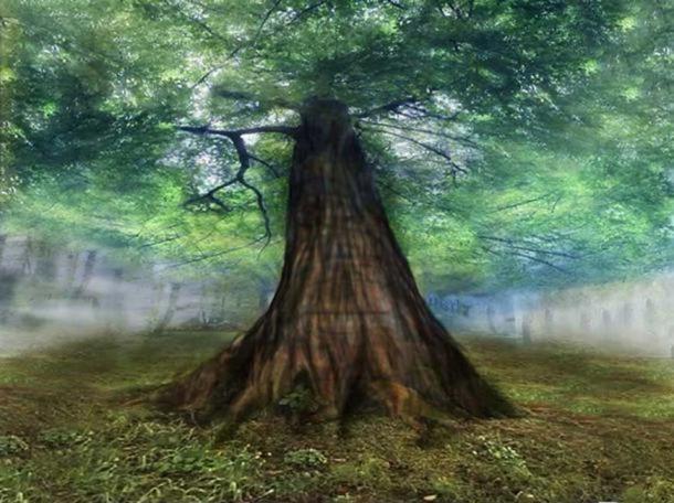 Yggdrasil, the immense mythical tree that connects the nine worlds in Norse cosmology