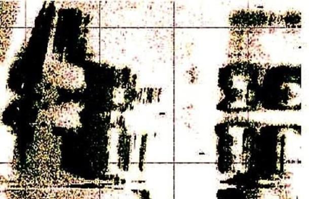 The actual sonar images that came through from the survey.