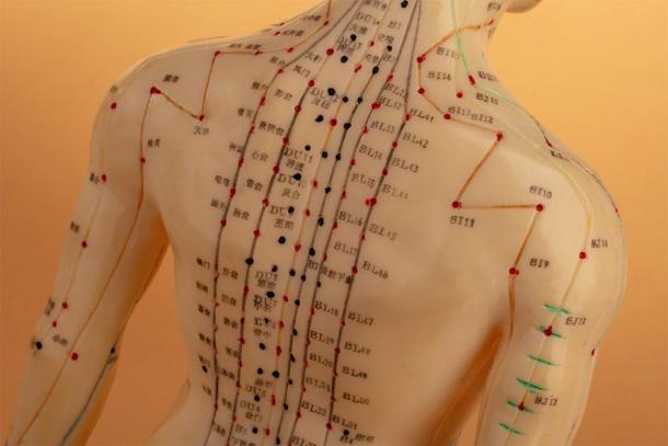 Los principales meridianos de acupuntura en la parte posterior del cuerpo humano (Birgit Reitz-Hofmann / Adobe Stock)