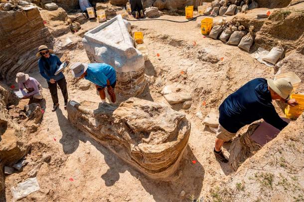 The adult gomphothere skull (foreground, tusk capped in white plaster) was separated from the main body (background, covered in plaster) prior to its preservation. (Kristen Grace/Florida Museum)