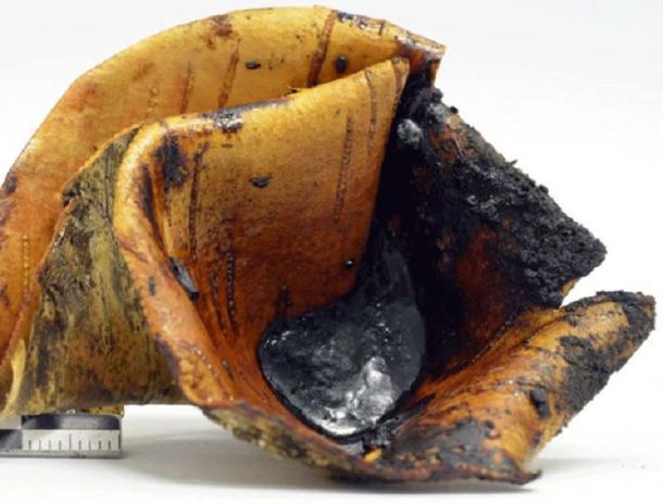 The advancement of stone tools, included Neanderthals incorporating the use of pitch for gluing their spears to the wooden staffs. (Image Credit: Paul Kozowyk/ The Seeker )