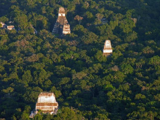 An aerial view of some of Tikal’s structures 